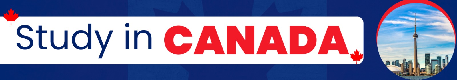 Oh Canada! Why Studying in the Great North is Cooler Than a Polar Bear’s Toenails